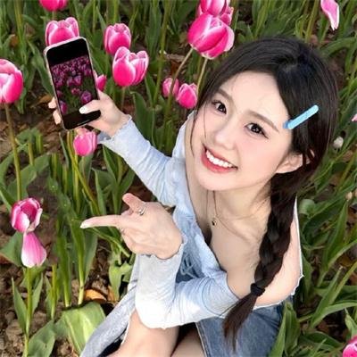 梦之山脉